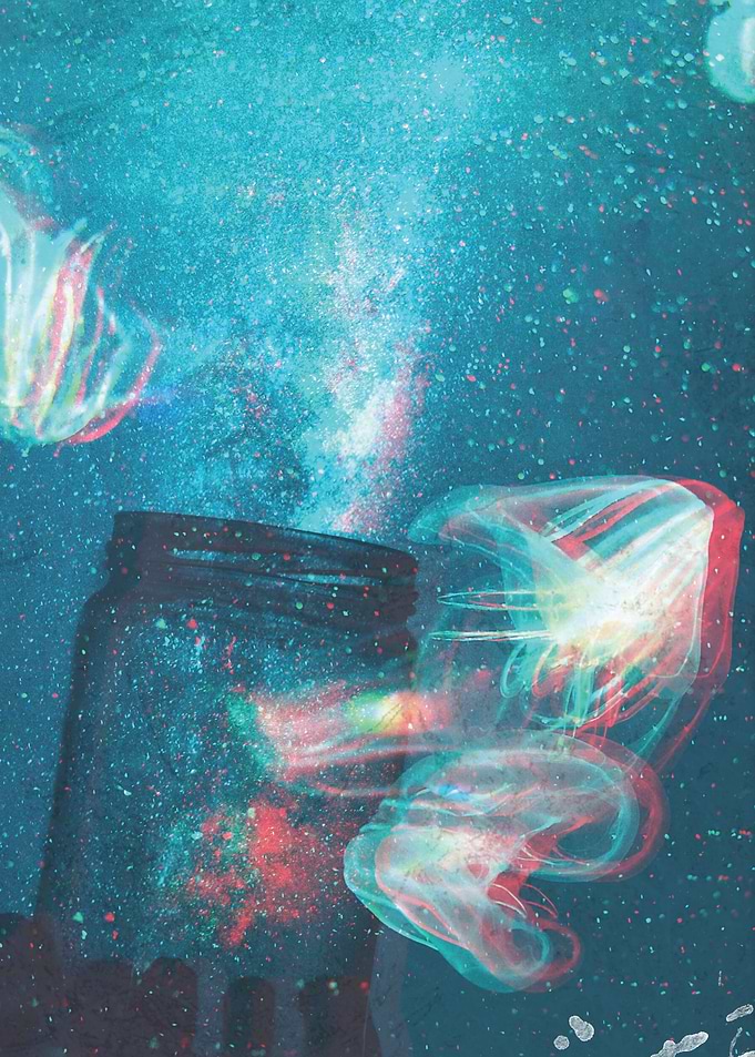 Jelly fish