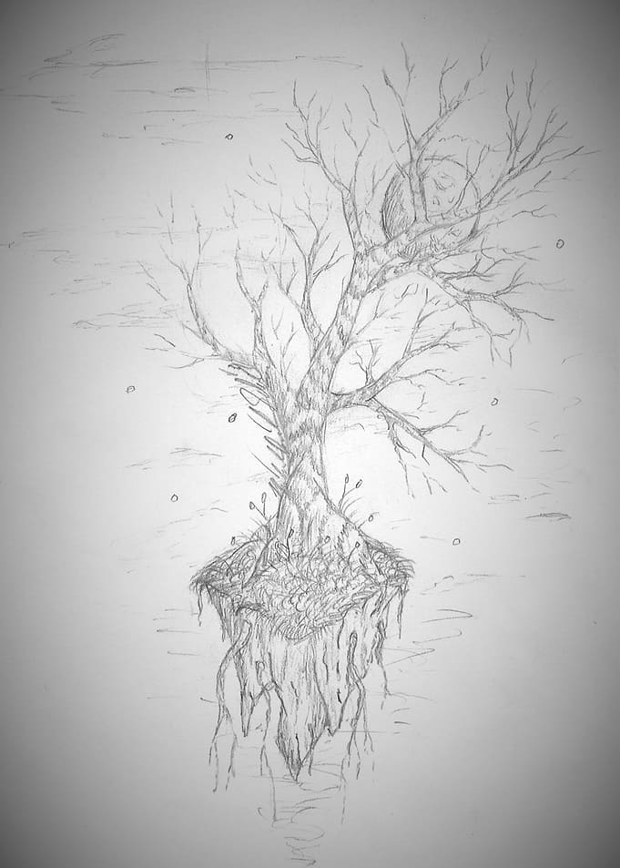 Moon Tree