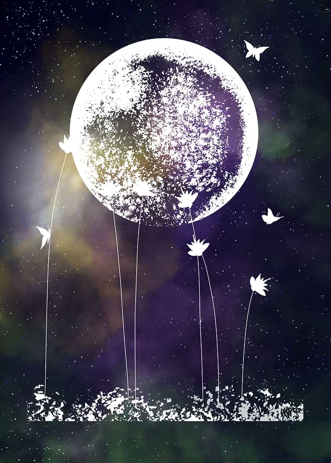 Space and Butterflies