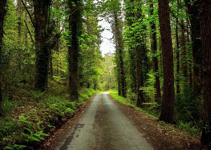 Beautiful Nature Landscape