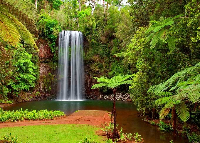 Beautiful Nature Waterfall