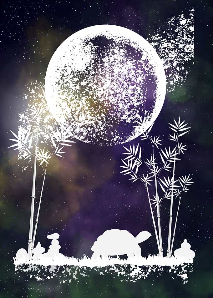 Space and Tortoise