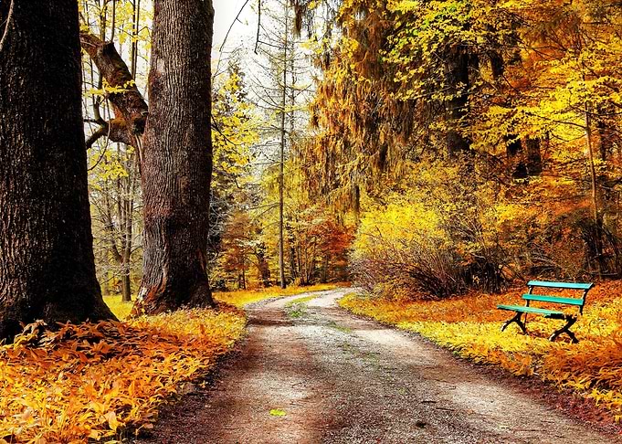 Autumn Park