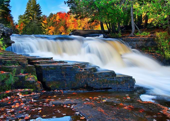 Forest Waterfall