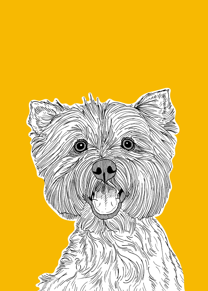 West Highland Terrier