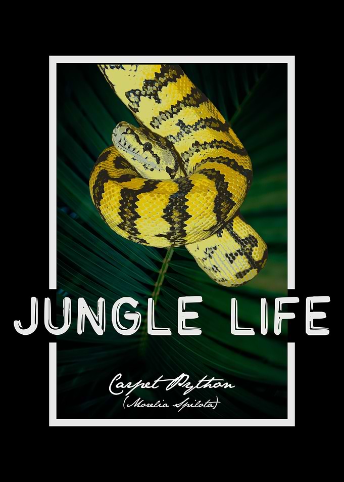Carpet Python Jungle Life