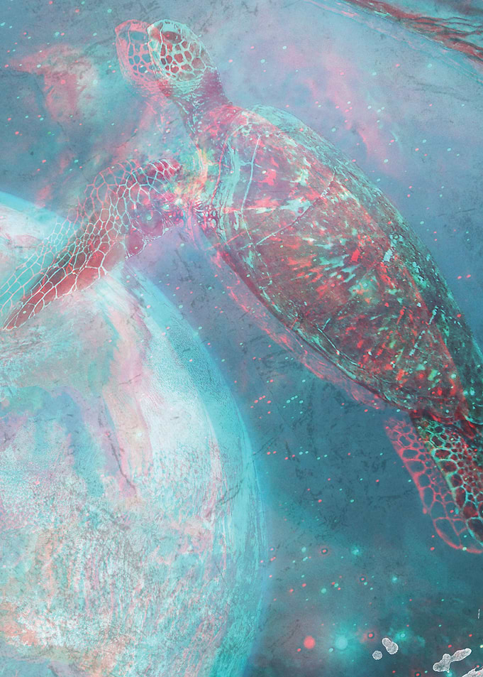 Turtle in universe
