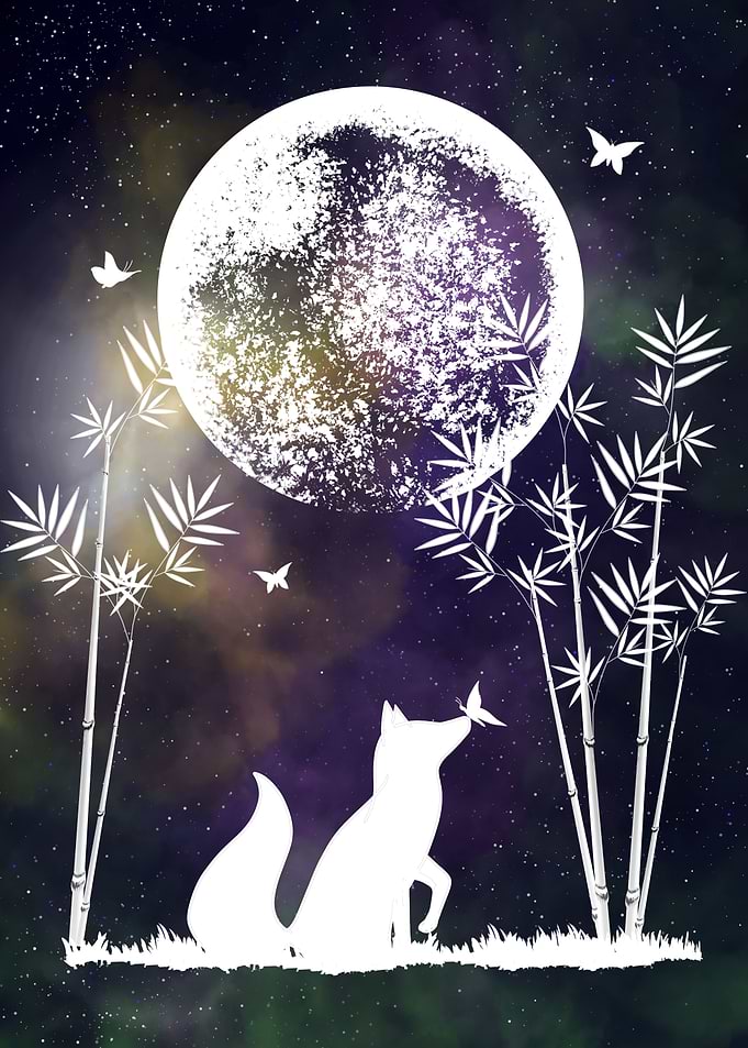 Space and Fox