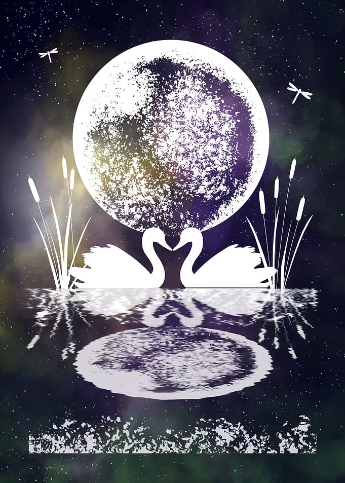 Space and Swans