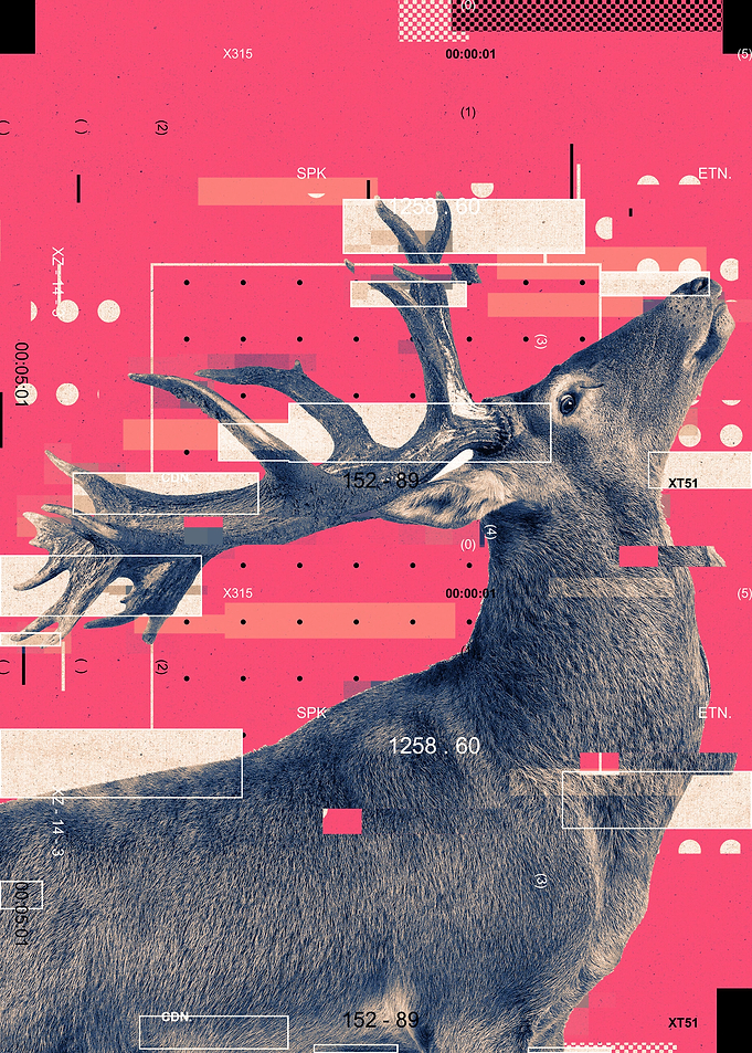 Deer digital art