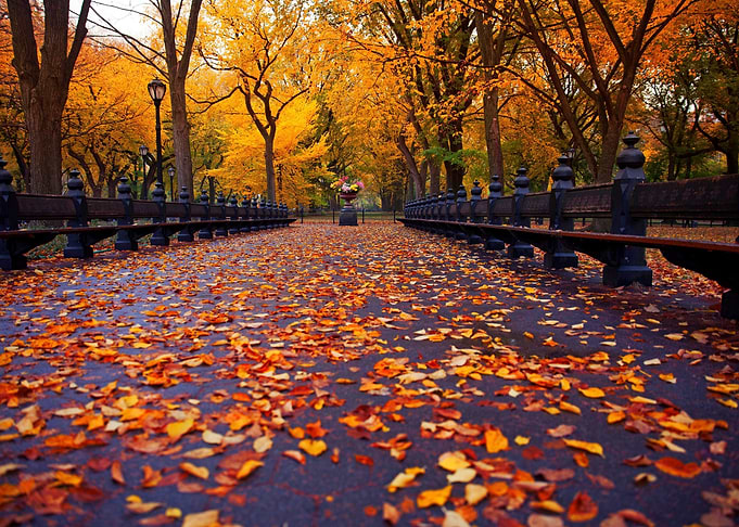 Autumn Park