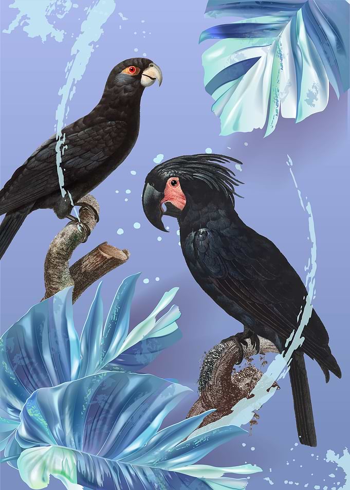 Tropical Birds 02