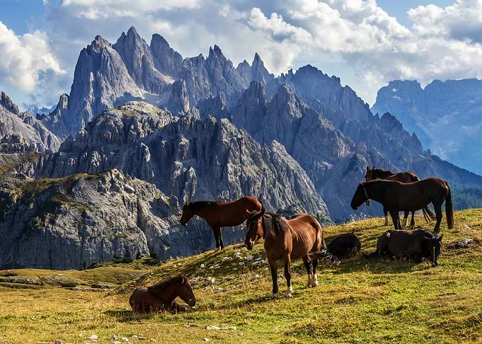 hores at dolomite mountain