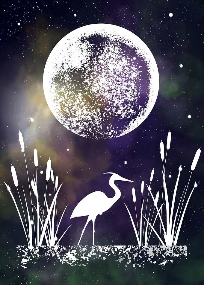 Space and Crane