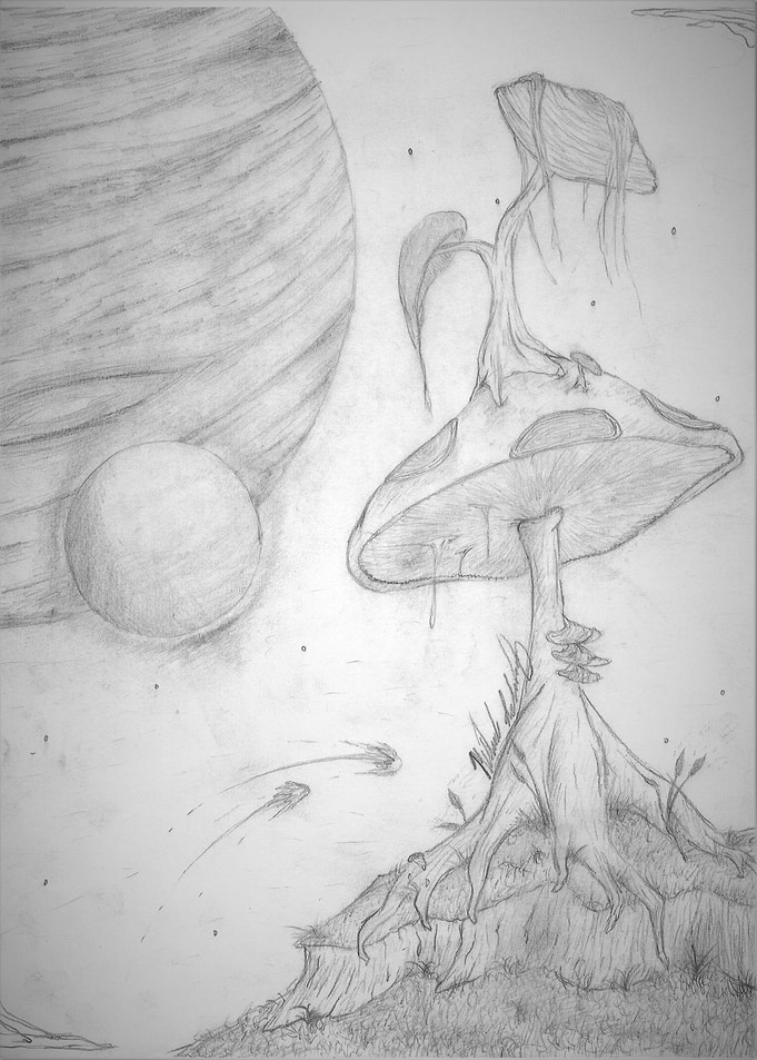 Planets in the Sky