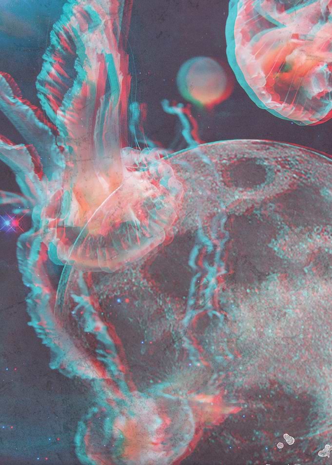 Jelly moon