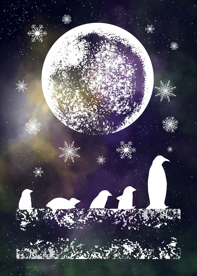 Space and Penguins