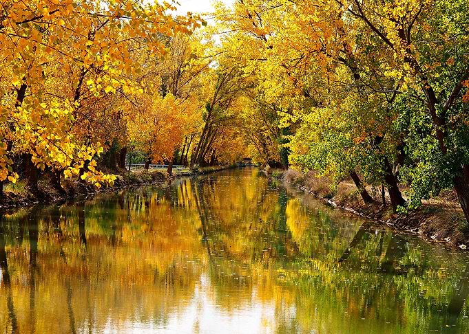 Autumn River