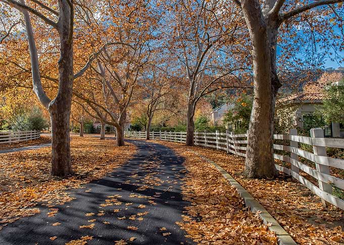 Autumn Park