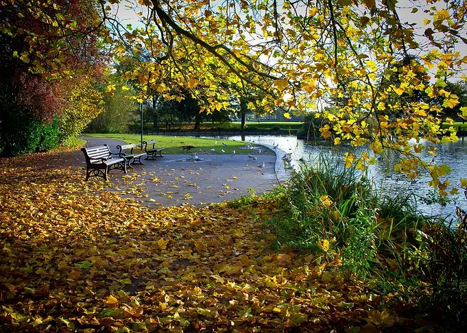 Autumn Park