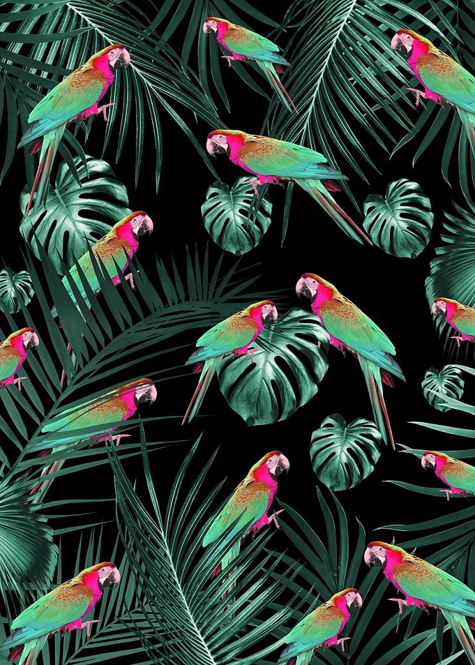 Parrots in the Jungle 1