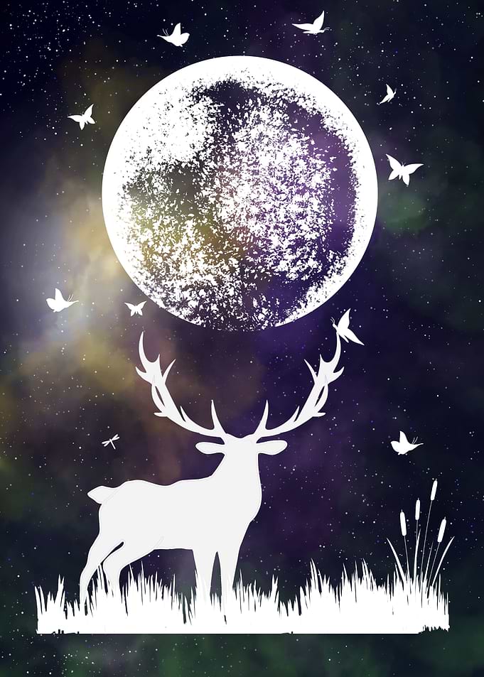 Space and Stag