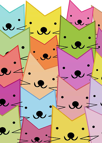 Colorful cats