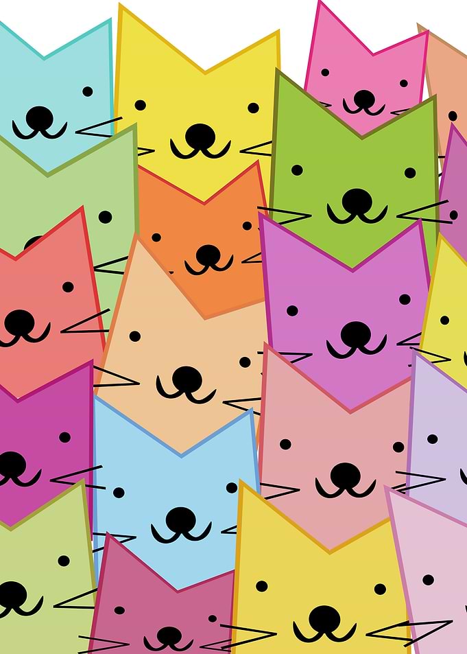 Colorful cats