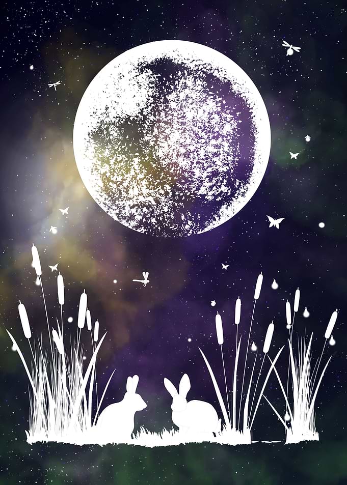 Space and Rabbits