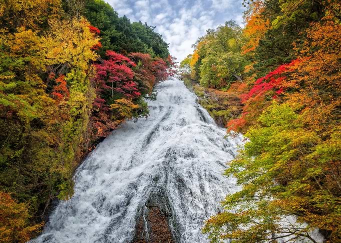 Forest Waterfall