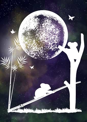 Space and Koalas