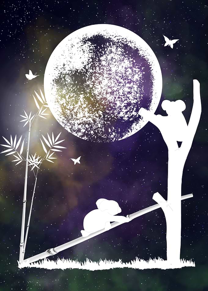 Space and Koalas