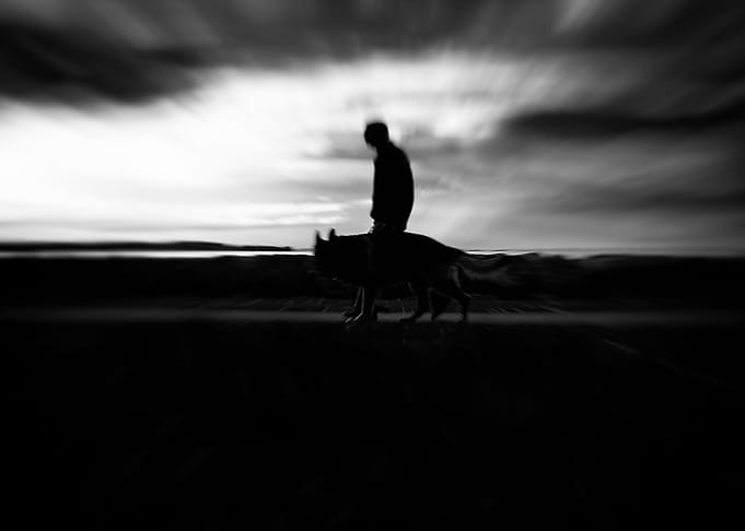 The man and the wolf