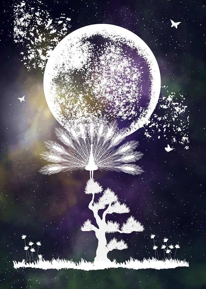 Space and Peacock
