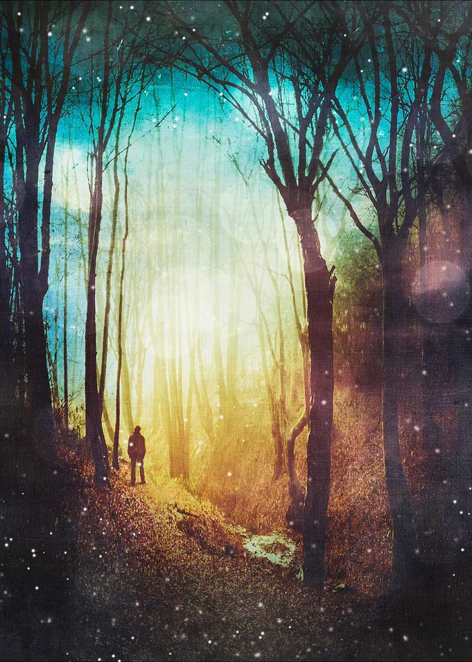 The Magic of quiet places