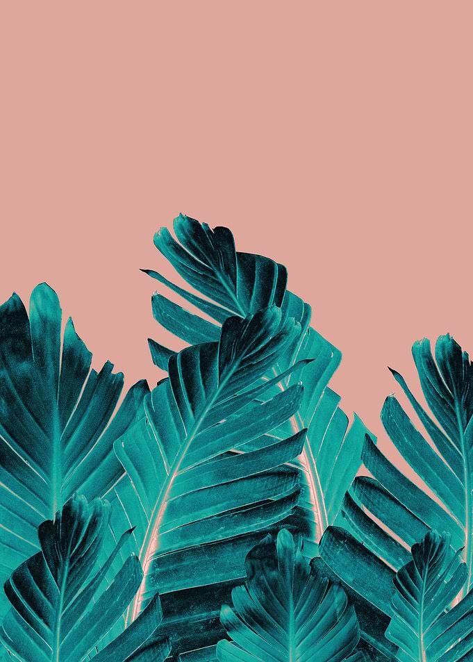 Turquoise Banana Leaves 1