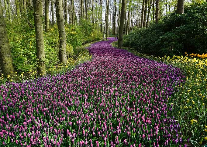 Beautiful Nature Landscape