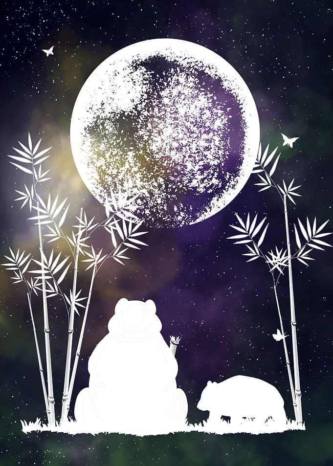 Space and Pandas