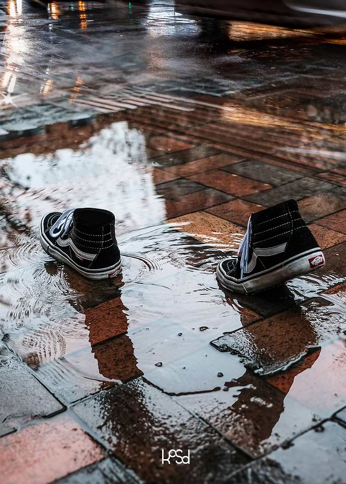 Living Reflection
