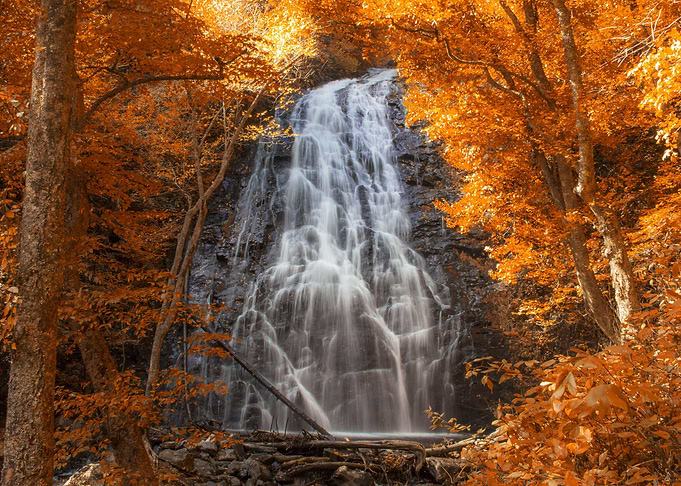 Forest Waterfall