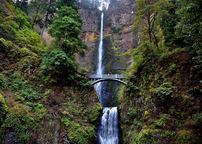 Beautiful Nature Waterfall