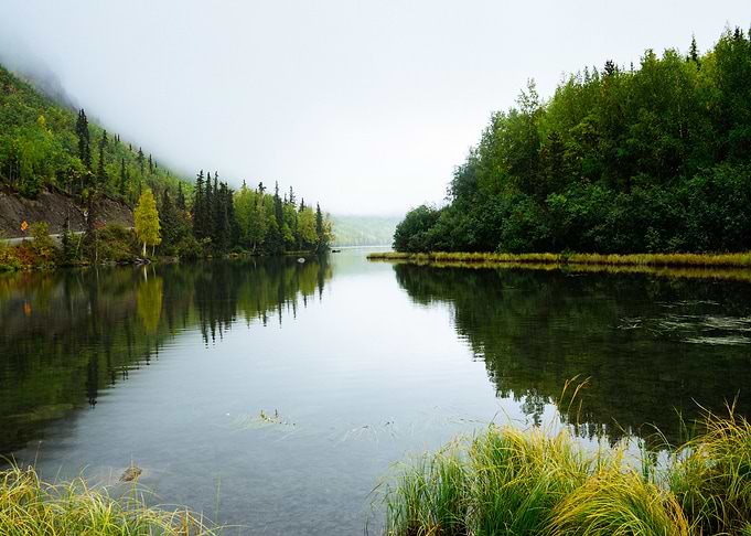 Beautiful Nature Landscape