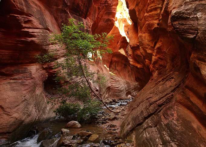 Beautiful Nature Landscape