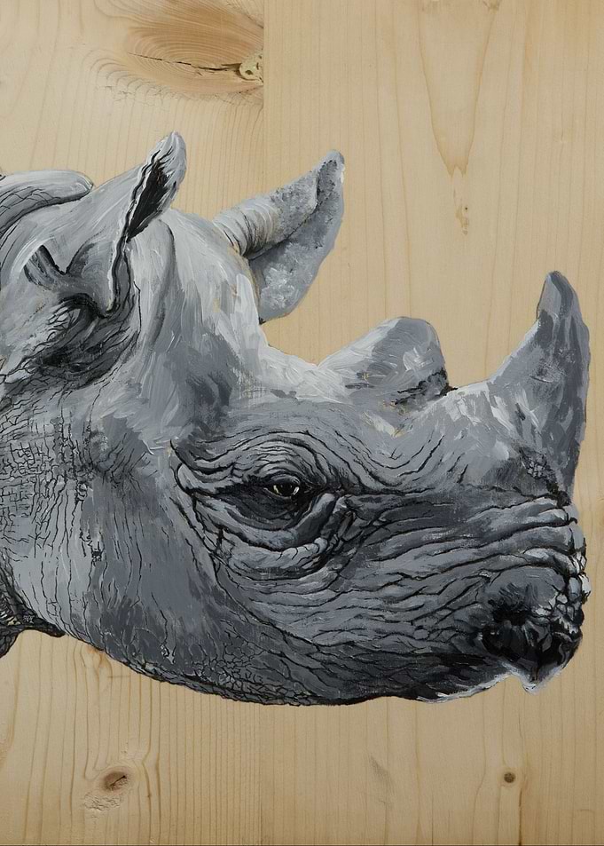 Rhino