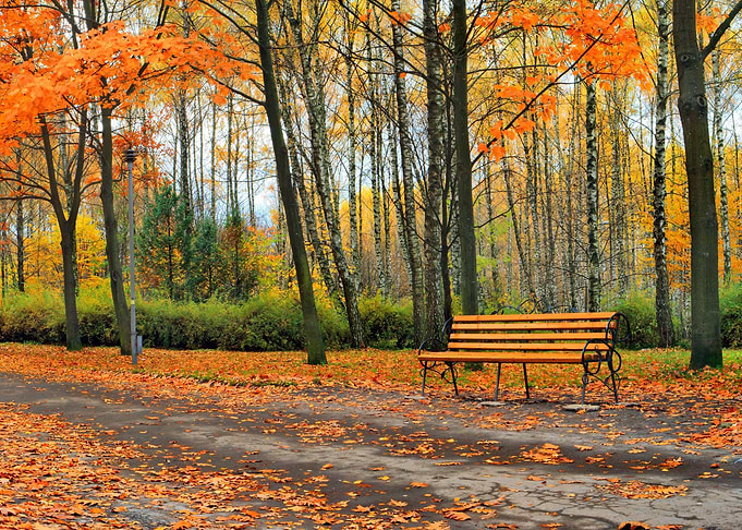 Autumn Park