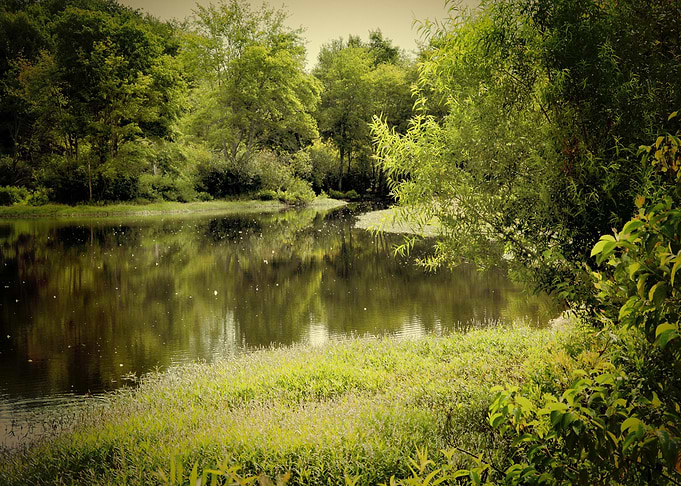 Beautiful Nature Landscape
