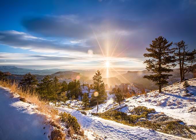 Winter landscape