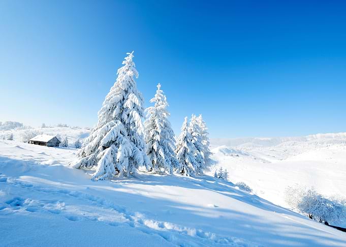 Winter landscape
