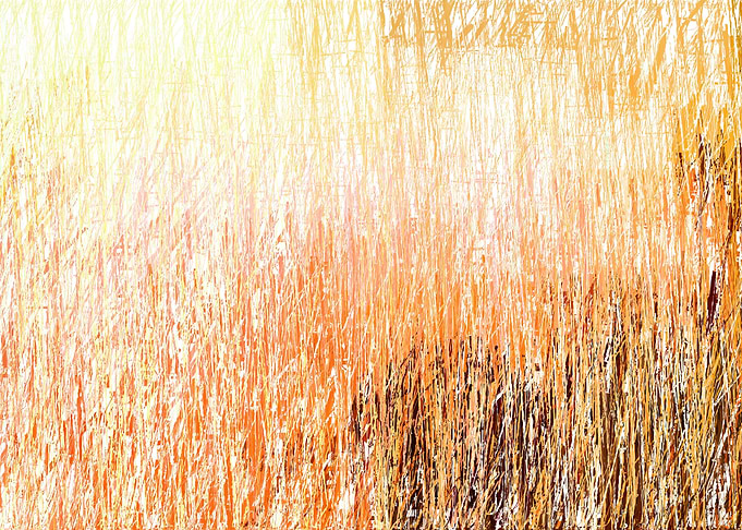 colorful stroke lines