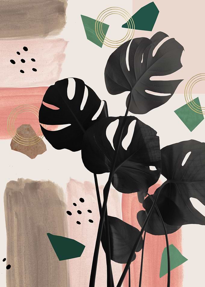 Monstera Summer Glam 2